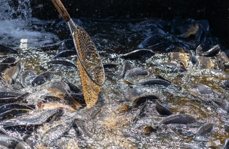 Dlaczego sprzedaż bezpośrednia wraca do łask?