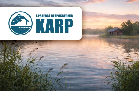 Ruszamy z projektem. Sprzedaż bezpośrednia – nowe otwarcie