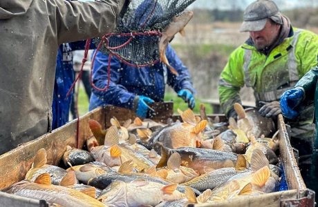 Jak rozwijać sprzedaż bezpośrednią poza sezonem?