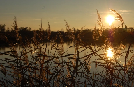 Nowy sezon w gospodarstwach rybackich – od czego się zaczyna?