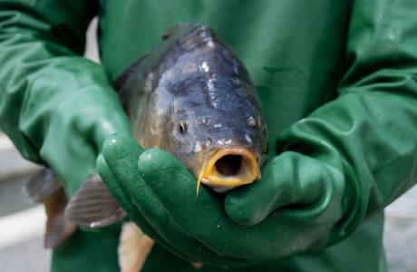 Szkolenia terenowe – czego będą dotyczyć?