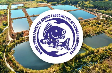 Jakość ryb świadczy o gospodarstwie – poznaj Kodeks Dobrych Praktyk