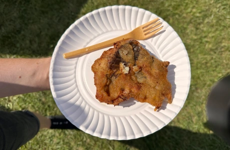 Festiwal Karpia w Daniszewicach
